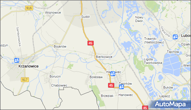 mapa Bieńkowice gmina Krzyżanowice, Bieńkowice gmina Krzyżanowice na mapie Targeo