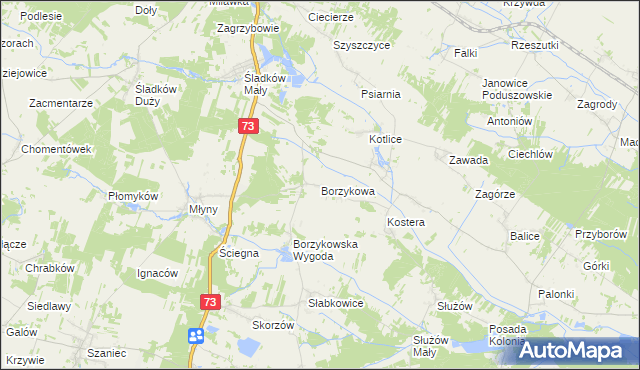 mapa Borzykowa gmina Chmielnik, Borzykowa gmina Chmielnik na mapie Targeo