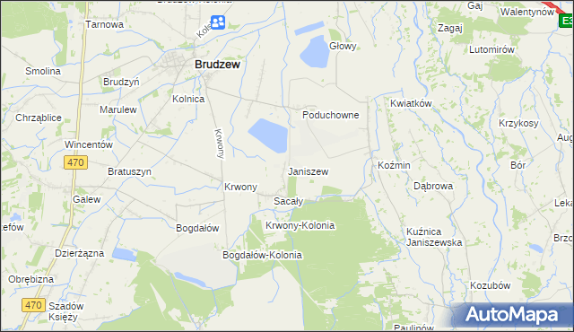 mapa Janiszew gmina Brudzew, Janiszew gmina Brudzew na mapie Targeo