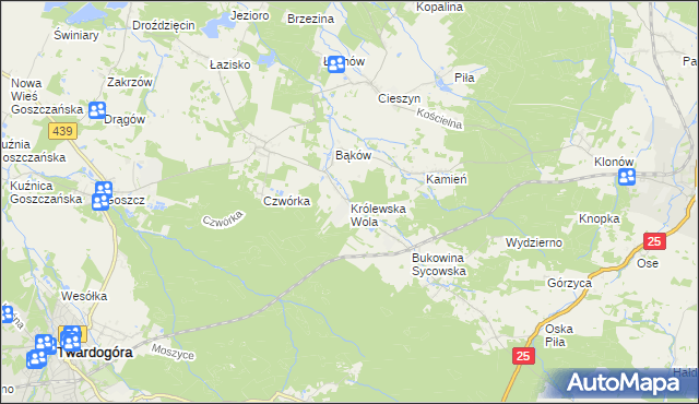 mapa Królewska Wola gmina Międzybórz, Królewska Wola gmina Międzybórz na mapie Targeo