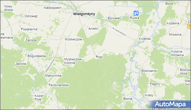 mapa Rogi gmina Wielgomłyny, Rogi gmina Wielgomłyny na mapie Targeo