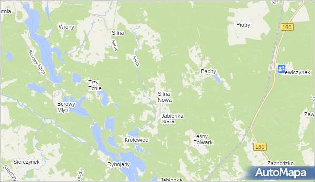 mapa Silna Nowa, Silna Nowa na mapie Targeo
