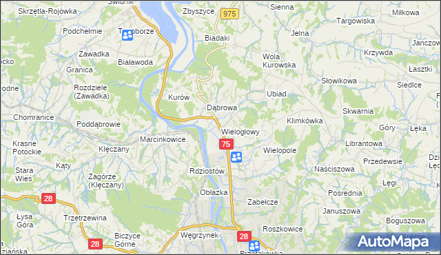 mapa Wielogłowy gmina Chełmiec, Wielogłowy gmina Chełmiec na mapie Targeo