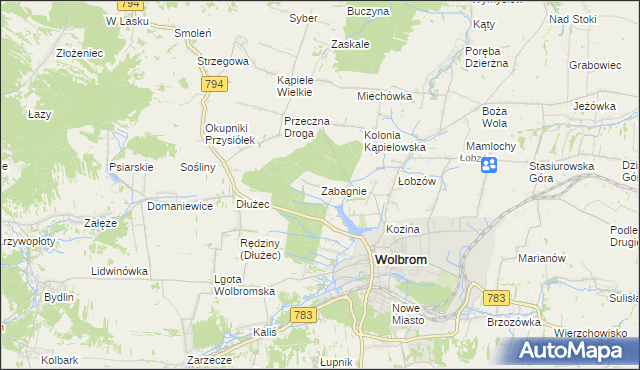 mapa Zabagnie gmina Wolbrom, Zabagnie gmina Wolbrom na mapie Targeo