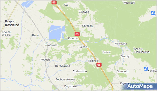 mapa Zalesie gmina Dobrzyniewo Duże, Zalesie gmina Dobrzyniewo Duże na mapie Targeo