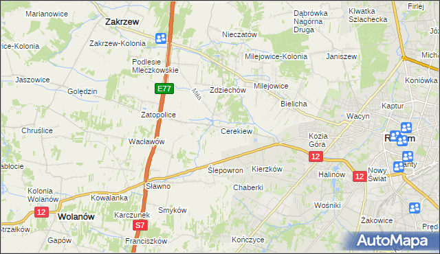 mapa Cerekiew gmina Zakrzew, Cerekiew gmina Zakrzew na mapie Targeo
