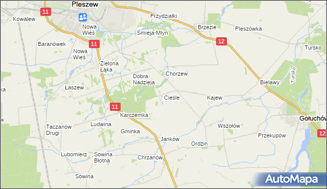 mapa Cieśle gmina Gołuchów, Cieśle gmina Gołuchów na mapie Targeo