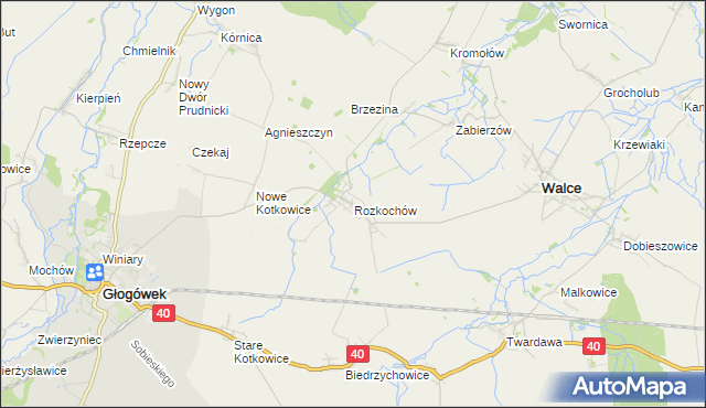 mapa Rozkochów gmina Walce, Rozkochów gmina Walce na mapie Targeo