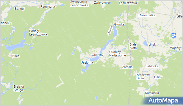 mapa Okoniny gmina Śliwice, Okoniny gmina Śliwice na mapie Targeo