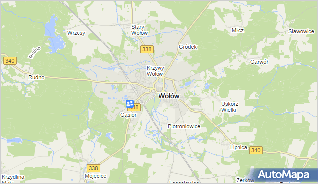 mapa Wołów, Wołów na mapie Targeo