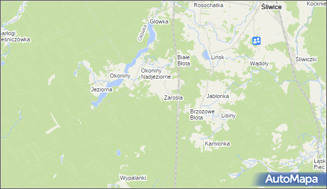mapa Zarośla gmina Śliwice, Zarośla gmina Śliwice na mapie Targeo