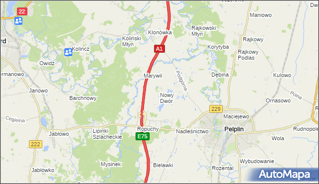 mapa Nowy Dwór gmina Pelplin, Nowy Dwór gmina Pelplin na mapie Targeo