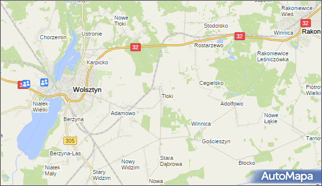 mapa Tłoki gmina Wolsztyn, Tłoki gmina Wolsztyn na mapie Targeo