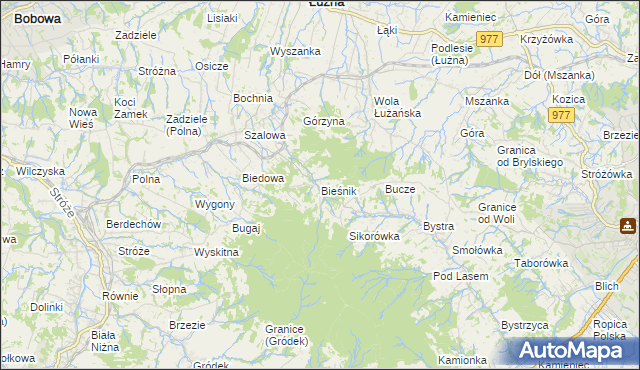 mapa Bieśnik gmina Łużna, Bieśnik gmina Łużna na mapie Targeo