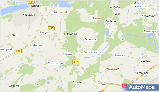 mapa Orliniec gmina Dolsk, Orliniec gmina Dolsk na mapie Targeo