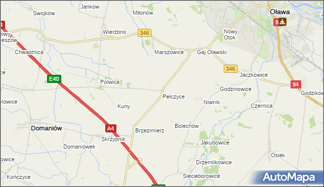 mapa Pełczyce gmina Domaniów, Pełczyce gmina Domaniów na mapie Targeo