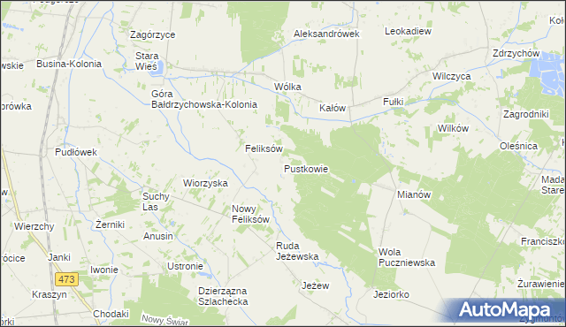 mapa Pustkowie gmina Poddębice, Pustkowie gmina Poddębice na mapie Targeo