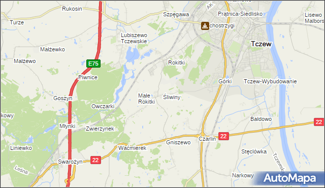 mapa Śliwiny gmina Tczew, Śliwiny gmina Tczew na mapie Targeo