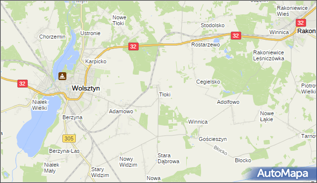 mapa Tłoki gmina Wolsztyn, Tłoki gmina Wolsztyn na mapie Targeo