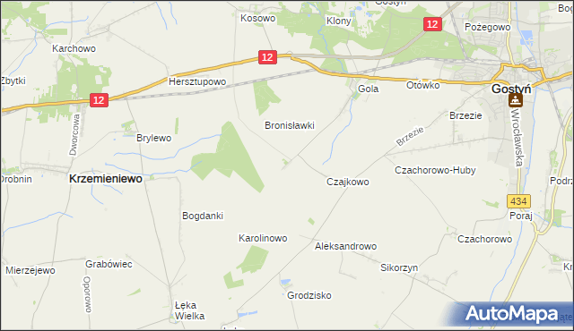 mapa Witoldowo gmina Gostyń, Witoldowo gmina Gostyń na mapie Targeo