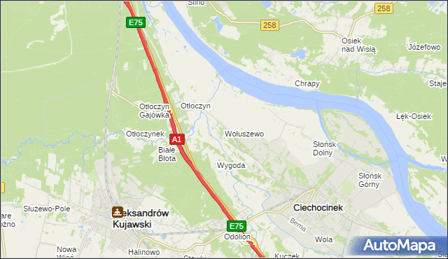 mapa Wołuszewo, Wołuszewo na mapie Targeo