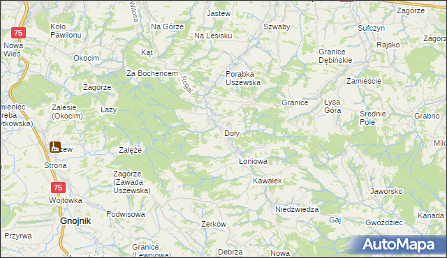 mapa Doły gmina Dębno, Doły gmina Dębno na mapie Targeo