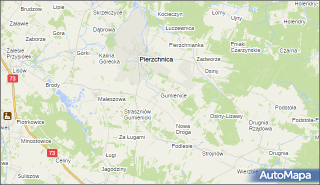 mapa Gumienice gmina Pierzchnica, Gumienice gmina Pierzchnica na mapie Targeo