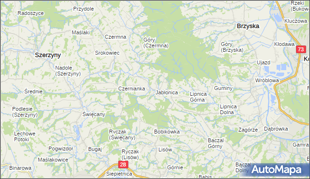 mapa Jabłonica gmina Skołyszyn, Jabłonica gmina Skołyszyn na mapie Targeo