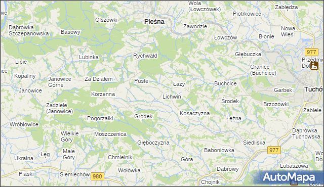 mapa Lichwin gmina Pleśna, Lichwin gmina Pleśna na mapie Targeo