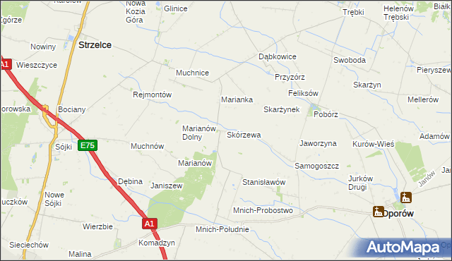 mapa Skórzewa, Skórzewa na mapie Targeo