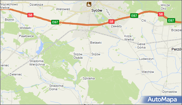 mapa Ślizów, Ślizów na mapie Targeo