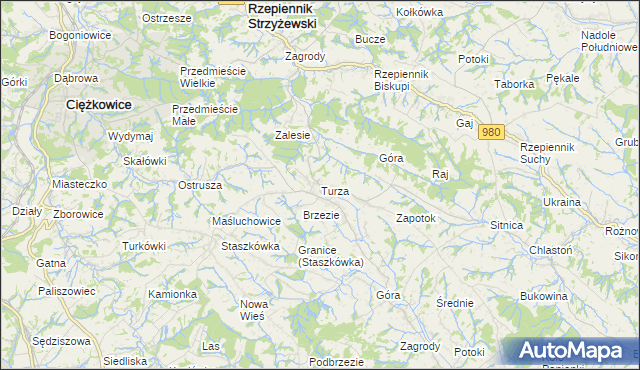 mapa Turza gmina Rzepiennik Strzyżewski, Turza gmina Rzepiennik Strzyżewski na mapie Targeo