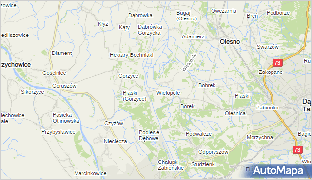 mapa Wielopole gmina Olesno, Wielopole gmina Olesno na mapie Targeo
