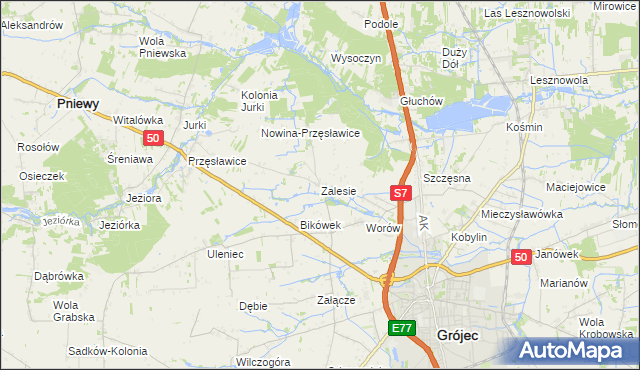 mapa Zalesie gmina Grójec, Zalesie gmina Grójec na mapie Targeo