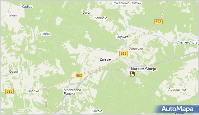 mapa Zalesie gmina Nurzec-Stacja, Zalesie gmina Nurzec-Stacja na mapie Targeo