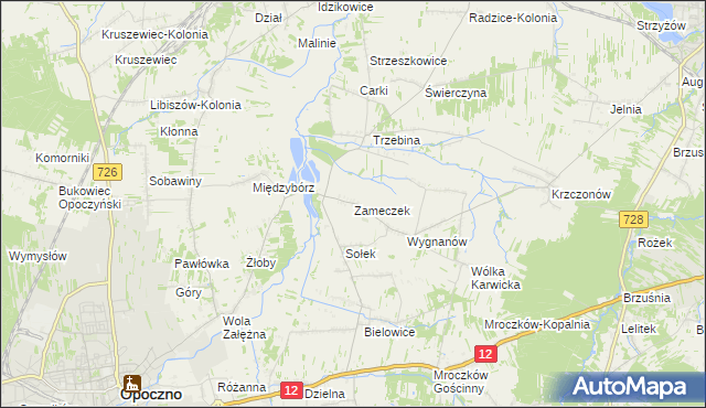 mapa Zameczek gmina Opoczno, Zameczek gmina Opoczno na mapie Targeo