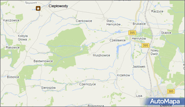 mapa Muszkowice, Muszkowice na mapie Targeo