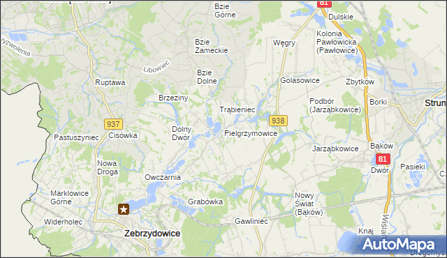 mapa Pielgrzymowice gmina Pawłowice, Pielgrzymowice gmina Pawłowice na mapie Targeo