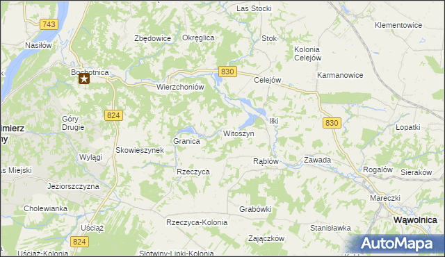 mapa Witoszyn gmina Kazimierz Dolny, Witoszyn gmina Kazimierz Dolny na mapie Targeo