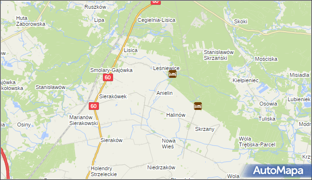 mapa Anielin gmina Gostynin, Anielin gmina Gostynin na mapie Targeo