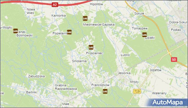 mapa Antoniew gmina Wiskitki, Antoniew gmina Wiskitki na mapie Targeo