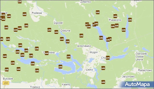 mapa Antoniewko, Antoniewko na mapie Targeo