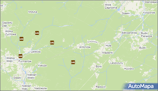 mapa Antoniów gmina Chlewiska, Antoniów gmina Chlewiska na mapie Targeo