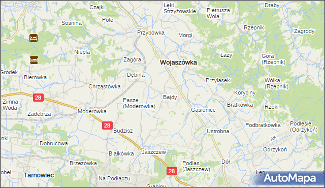 mapa Bajdy gmina Wojaszówka, Bajdy gmina Wojaszówka na mapie Targeo