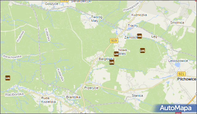 mapa Bargłówka gmina Sośnicowice, Bargłówka gmina Sośnicowice na mapie Targeo