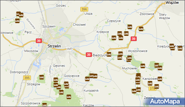 mapa Biedrzychów gmina Strzelin, Biedrzychów gmina Strzelin na mapie Targeo