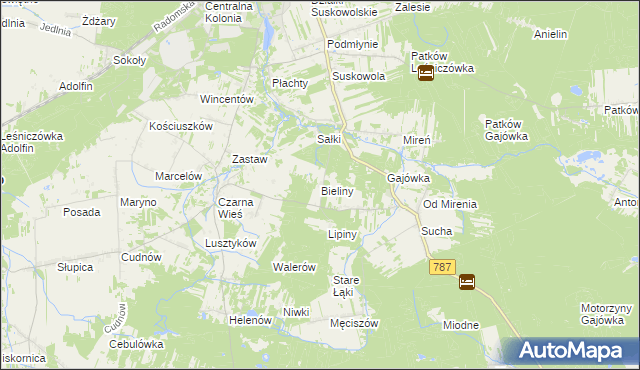 mapa Bieliny gmina Pionki, Bieliny gmina Pionki na mapie Targeo