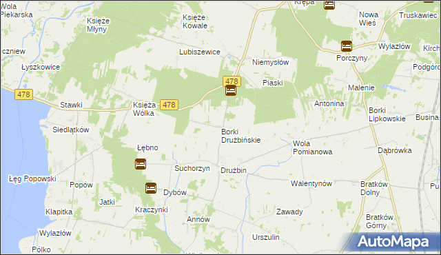 mapa Borki Drużbińskie, Borki Drużbińskie na mapie Targeo