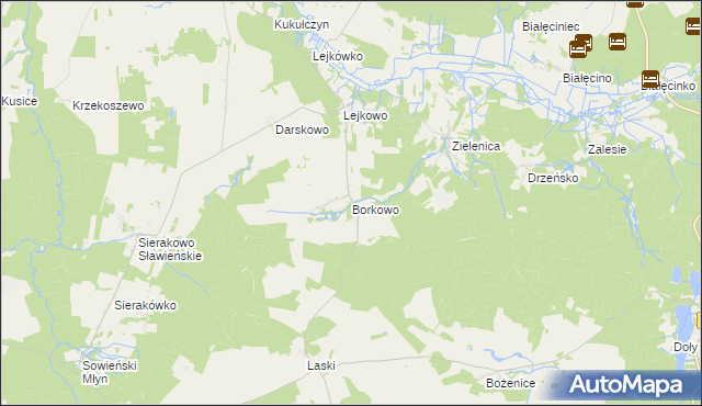 mapa Borkowo gmina Malechowo, Borkowo gmina Malechowo na mapie Targeo