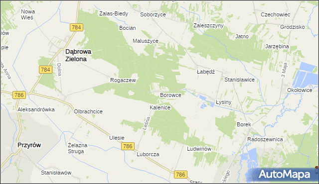 mapa Borowce gmina Dąbrowa Zielona, Borowce gmina Dąbrowa Zielona na mapie Targeo